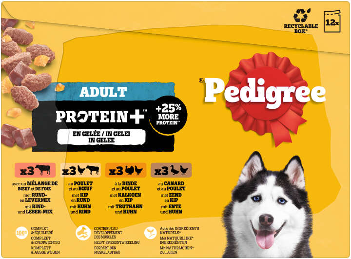 Pedigree Hunde-Nassfutter Adult Protein Plus in Gelee